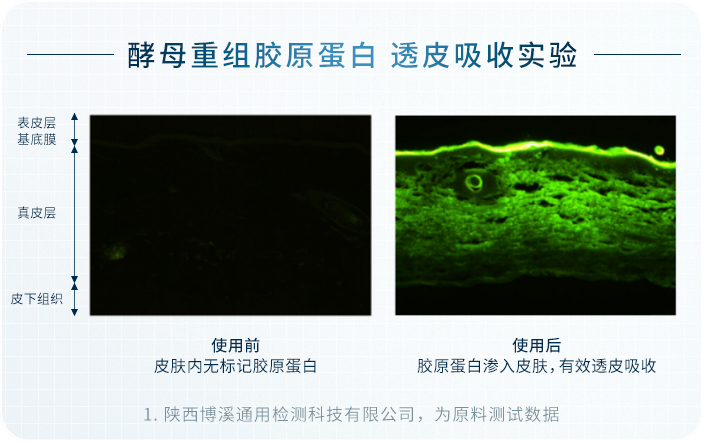 origin_img_v2_0ba4ee46-38cf-4468-a2a3-5c78e0f0174g